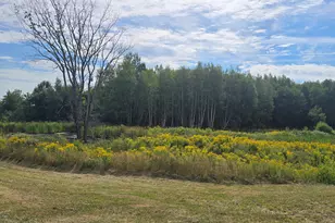 96 W Ridge Rd, Littleton, ME 04730 - Photo 37