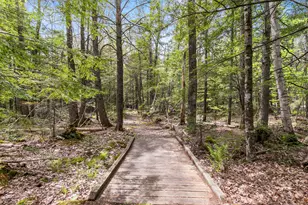 82 Oak Hill Rd, Otisfield, ME 04270 - Photo 41
