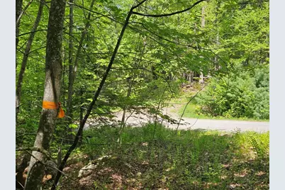 21 Jewett Way, Hanover, ME 04237 - Photo 43