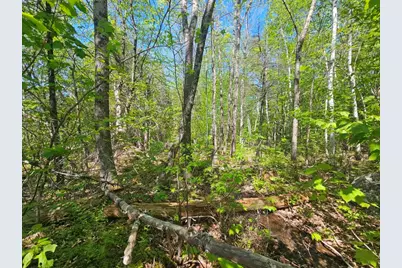 21 Jewett Way, Hanover, ME 04237 - Photo 27