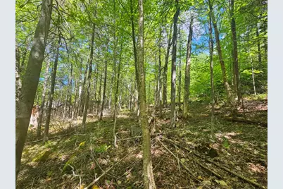 21 Jewett Way, Hanover, ME 04237 - Photo 37