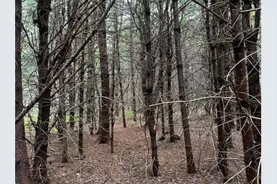 Lot 6 Emery Farm Road, Medford, ME 04463 - Photo 17