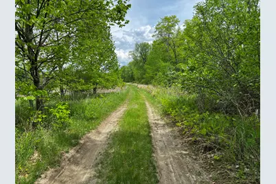 Lot 6 Emery Farm Road, Medford, ME 04463 - Photo 9
