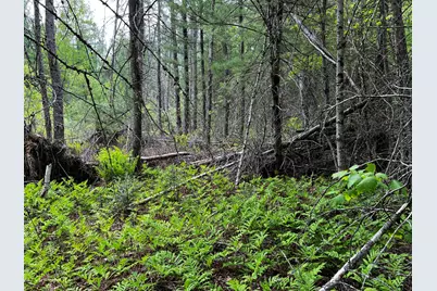 Lot 6 Emery Farm Road, Medford, ME 04463 - Photo 23