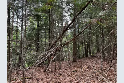 Lot 6 Emery Farm Road, Medford, ME 04463 - Photo 21