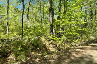 19 Grist Mill Rd, Naples, ME 04055 - Photo 23