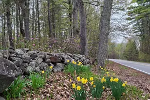 51 Country Club Rd, Sanford, ME 04073 - Photo 37
