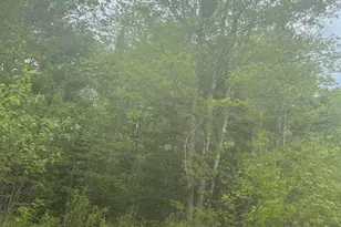 1 Morse District Rd N, Steuben, ME 04680 - Photo 1