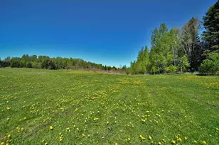 160 Snow Rd, Bridgewater, ME 04735 - Photo 45