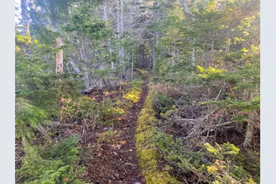 3 Middle Ground View, Jonesport, ME 04649 - Photo 19