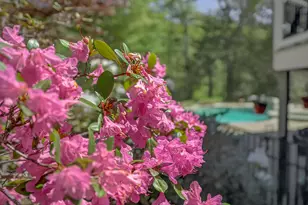 12 Touchstone Dr, Kennebunkport, ME 04046 - Photo 43