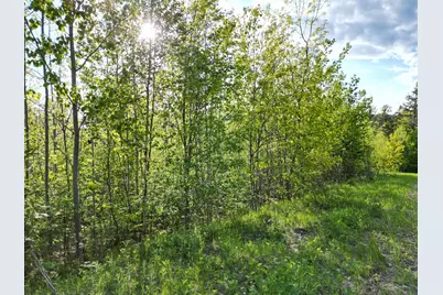 Lot 41-1 Bottle Lake Road, Lakeville, ME 04487 - Photo 23