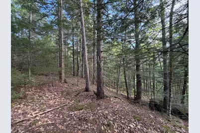 Lot 41-1 Bottle Lake Road, Lakeville, ME 04487 - Photo 7