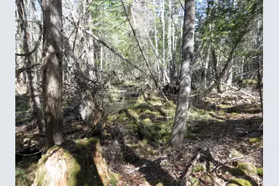 Tbd Fitz Road #001-018, Kenduskeag, ME 04450 - Photo 3