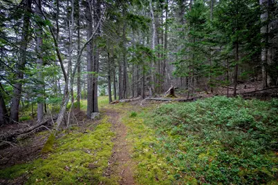 163 Back Road, Brooklin, ME 04616 - Photo 71