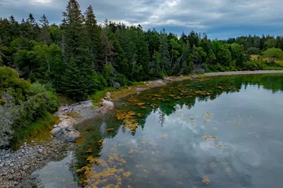 163 Back Road, Brooklin, ME 04616 - Photo 97