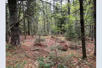 M1L15A Eastbrook Road, Eastbrook, ME 04634 - Photo 33
