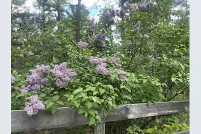 282 Granny Kent Pond Road, Shapleigh, ME 04076 - Photo 59