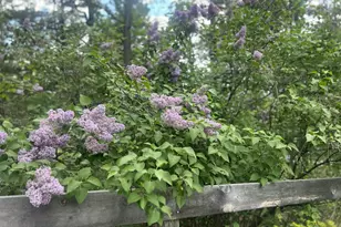 282 Granny Kent Pond Rd, Shapleigh, ME 04076 - Photo 59