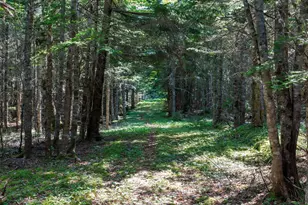 159 Devereaux Rd, Perry, ME 04667 - Photo 53