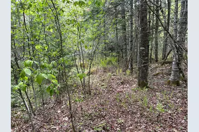 M1L15B Eastbrook Road, Eastbrook, ME 04634 - Photo 17