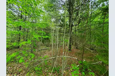 77 South Princeton Road, Alexander, ME 04694 - Photo 21