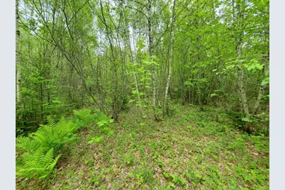 77 South Princeton Road, Alexander, ME 04694 - Photo 9