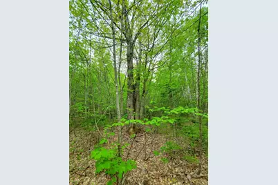 77 South Princeton Road, Alexander, ME 04694 - Photo 15