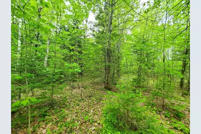 77 South Princeton Road, Alexander, ME 04694 - Photo 13