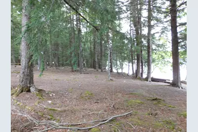 35 Black Cat Point Drive, Princeton, ME 04668 - Photo 15