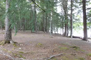 35 Blackcat Pt Dr, Princeton, ME 04668 - Photo 15