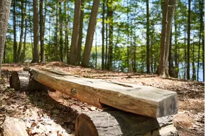 55 Lower Oak Point Road, Winterport, ME 04496 - Photo 7