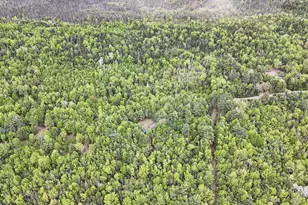 363 S Ridge Rd, Palmyra, ME 04965 - Photo 33