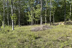 27G Pease Hill Rd, Cornish, ME 04020 - Photo 25