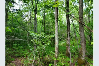 Off Mill Street, Kingman, ME 04451 - Photo 7