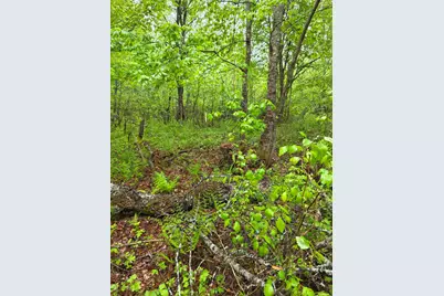 Off Mill Street, Kingman, ME 04451 - Photo 13