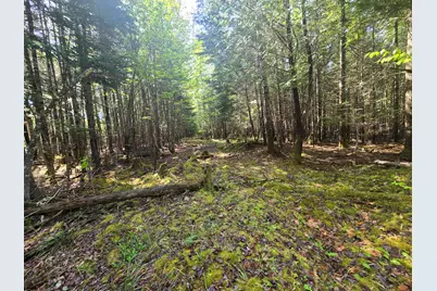 # Private Rd Off Merriman Road, Island Falls, ME 04747 - Photo 13