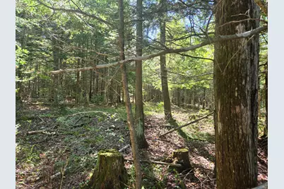 # Private Rd Off Merriman Road, Island Falls, ME 04747 - Photo 9
