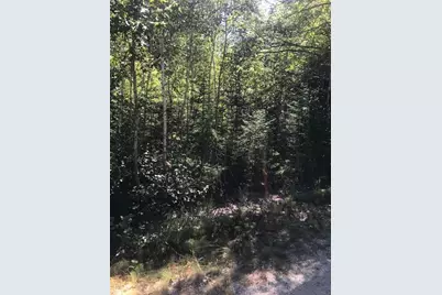 0 Willey District Road, Cherryfield, ME 04622 - Photo 1