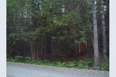 Tbd Old Steamboat Road, Lee, ME 04455 - Photo 1