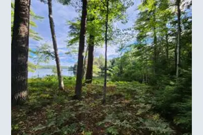 02 Green Island, Liberty, ME 04949 - Photo 1