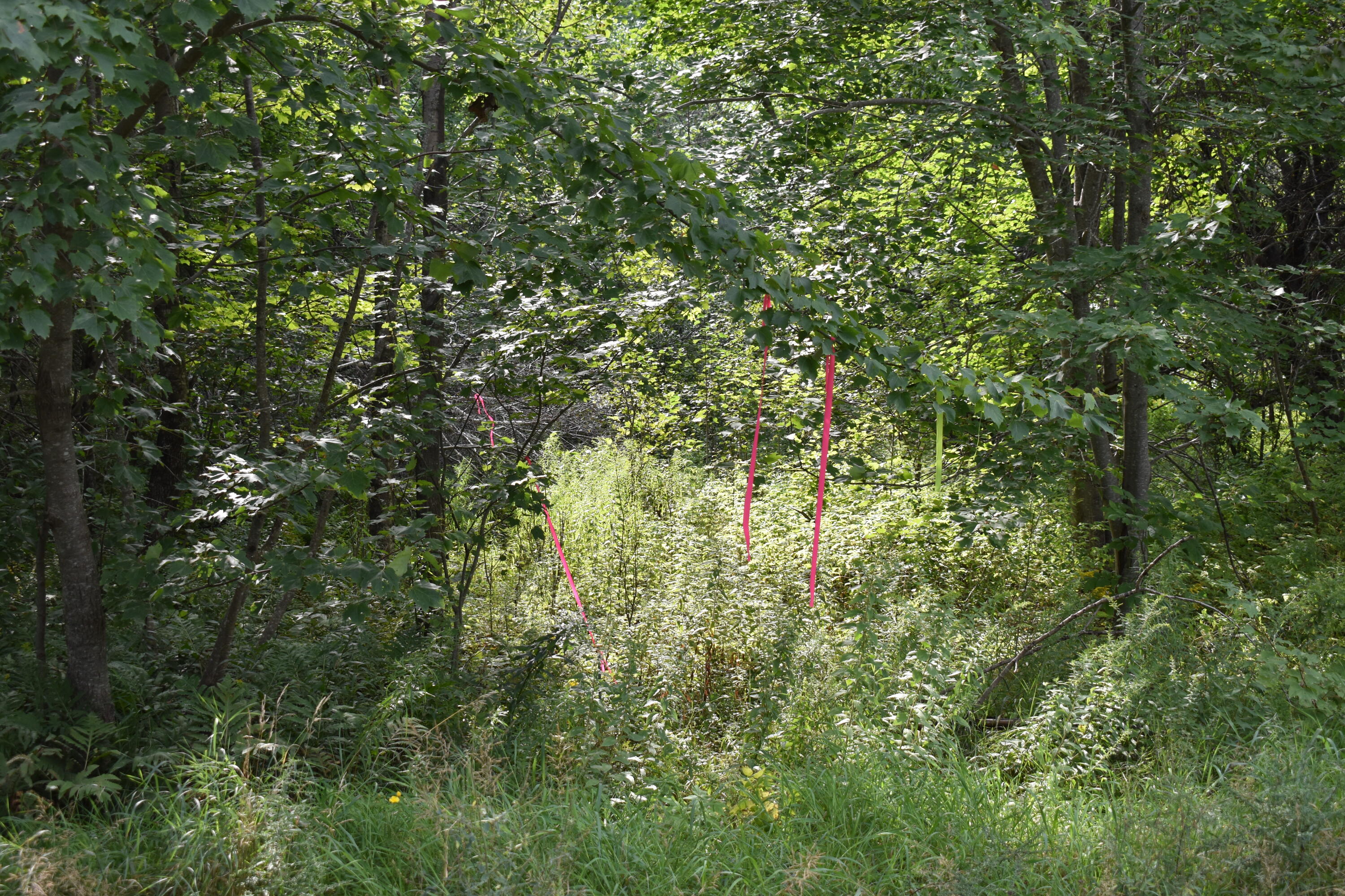 1 Pickle Ridge Rd, ster Plantation, ME 04487 MLS 1572858 Coldwell Banker