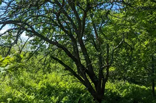 2868 Rt 3, Palermo, ME 04354 - Photo 1