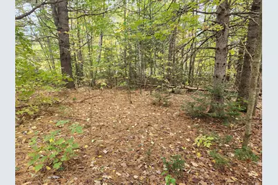 Lot #82 Seboeis Road, Seboeis Plantation, ME 04448 - Photo 1