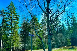 56 Dodge Point Rd, Tremont, ME 04674 - Photo 1