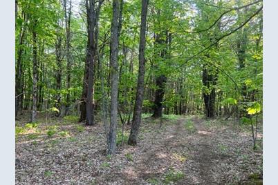 Lot#41-5 Guilford Center Road - Photo 1