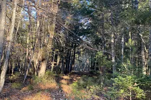 P/O M2 L31 Walker Rd, Madison, ME 04950 - Photo 1
