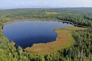 286 Abbee Pond Rd, Brownville, ME 04414 - Photo 1