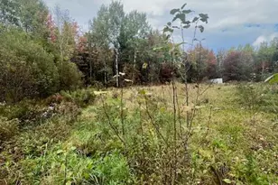 9 Tapley Rd, New Limerick, ME 04761 - Photo 1