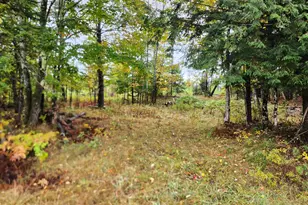 Lot 46 Ln Rd, Ripley, ME 04930 - Photo 1